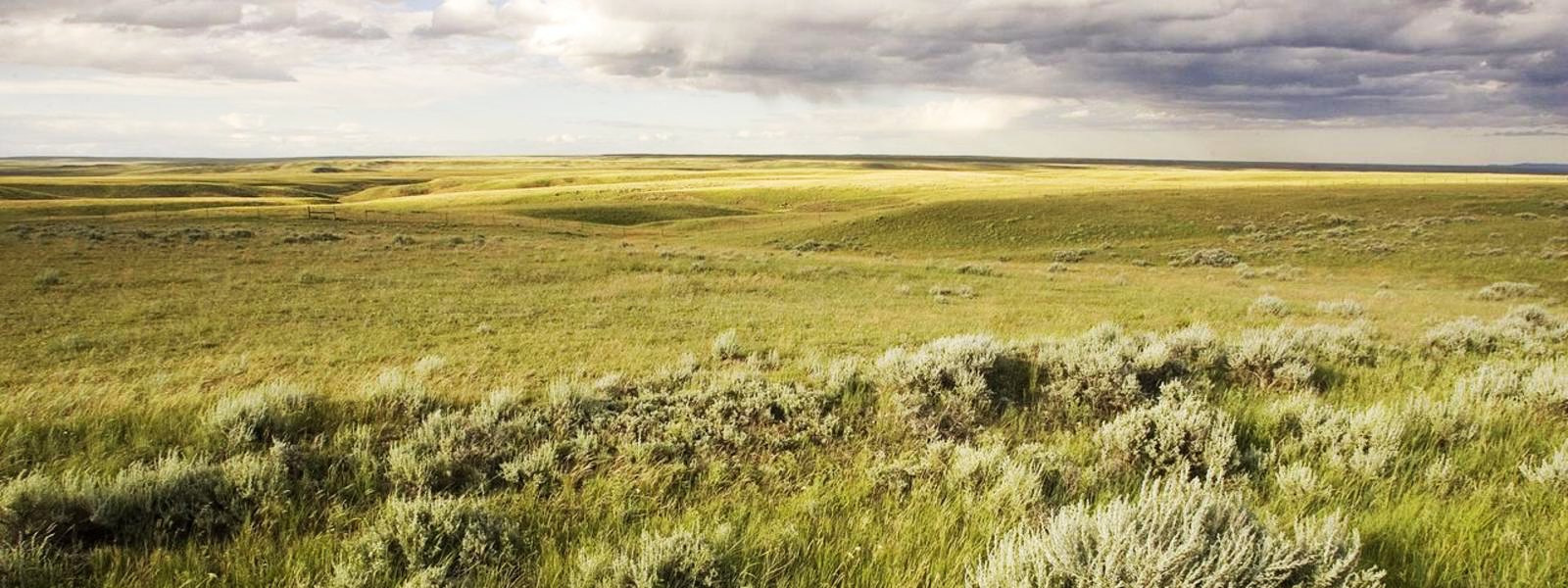 Great Plains
